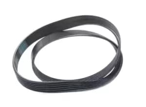 Bosch V-ribbed belt 1 987 946 000 Serpentine belt,Auxiliary belt VW,AUDI,FORD,Golf V Schragheck (1K1),TOURAN (1T1, 1T2),Passat Variant (3C5)