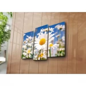 3NATPAT-23 Multicolor Decorative Canvas Painting (3 Pieces)
