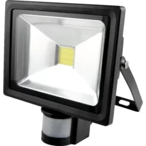 COB LED Floodlight with P IR 20W