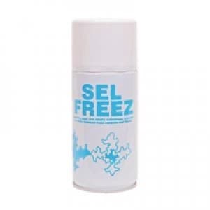 2Work Chewing Gum Remover 300ml 2W06300