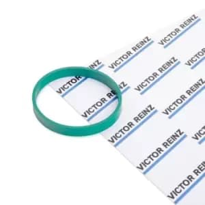 REINZ Intake Manifold Gasket 40-77586-00 Inlet Manifold Gasket,Gasket, intake manifold FORD,VOLVO,Focus II Schragheck (DA_, HCP, DP)