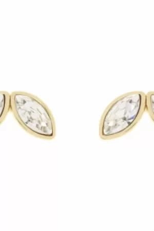 Ted Baker Ladies Gold Plated Genii Geometric Bee Stud Earring TBJ1625-02-02