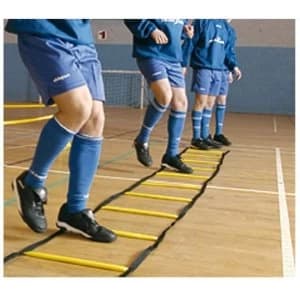 Precision Training Indoor Speed Agility Ladder