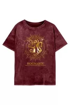 Gryffindor Constellation T-Shirt