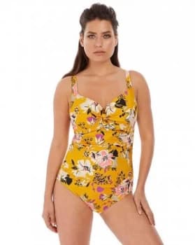 Fantasie Florida Keys Control Swimsuit