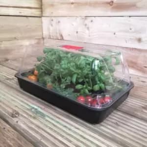 38cm Unheated Seed Starter Tray Grostart Midi Propagator Indoor Seedling Planter