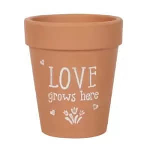 Love Grows Here Terracotta Plant Pot