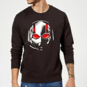 Ant-Man And The Wasp Scott Mask Sweatshirt - Black