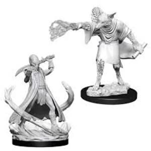 Dungeons & Dragons Nolzur's Marvelous Unpainted Miniatures (W11) Arcanaloth & Ultroloth