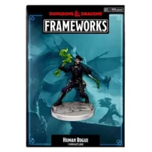 Dungeons & Dragons Frameworks: Human Rogue Female for Merchandise