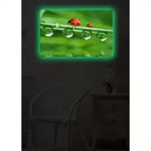 4570DACT-20 Multicolor Decorative LED Lighted Canvas Painting