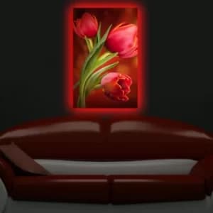 4570DACT-28 Multicolor Decorative LED Lighted Canvas Painting