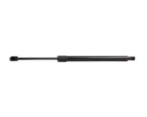 RIDEX Tailgate strut VW 219G0674