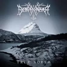 True north (Deluxe Edition)