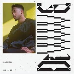 Black Milk - Dive Vinyl