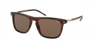 Polo Ralph Lauren Sunglasses PH4168 500773