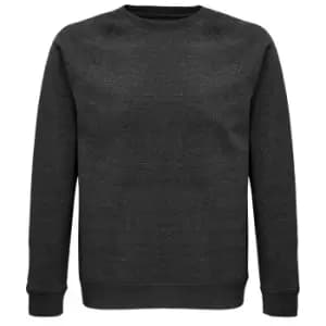 SOLS Unisex Adult Space Organic Raglan Sweatshirt (L) (Charcoal Marl)