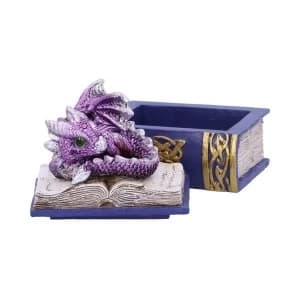 Bedtime Stories (Purple) Dragon Box