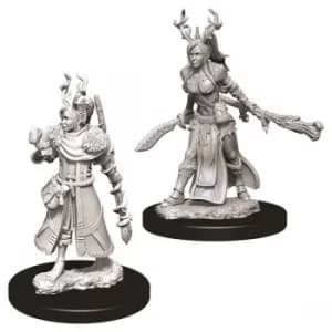 D&D Nolzur's Marvelous Unpainted Miniatures (W9) Female Human Druid
