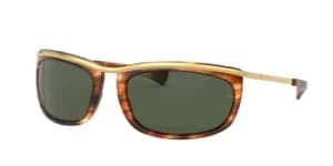 Ray-Ban Sunglasses RB2319 954/31