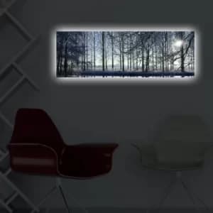 3090DACT-37 Multicolor Decorative LED Lighted Canvas Painting