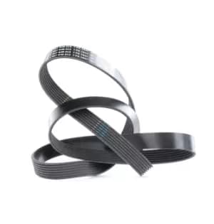 Bosch V-ribbed belt BMW,NISSAN,HONDA 1 987 948 313 11281432724,11287843246,31110RL0G52 38920PRA004,PQS000100,11720VC101,11720VC102,11720VC103