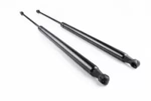 STABILUS Gas Spring, tailboard (tailgate) 754318 RENAULT,MODUS / GRAND MODUS (F/JP0_)