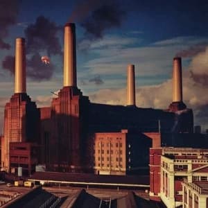 Animals by Pink Floyd CD Album