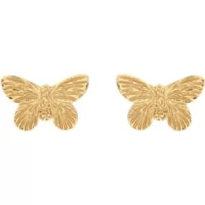 Ladies Olivia Burton Gold Plated Sterling Silver 3D Butterfly Studs
