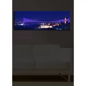 3090?ACT-14 Multicolor Decorative LED Lighted Canvas Painting