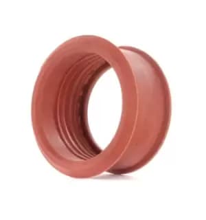 JP GROUP Turbocharger Hose JP GROUP 6017700100 Charger Intake Hose FIAT,PEUGEOT,CITROEN,Scudo (270_, 272_),206 Schragheck (2A/C),206 CC (2D)