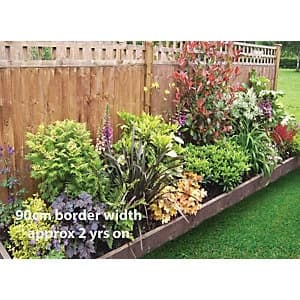 Garden On A Roll Mixed Shady Border Pack 3m x 60cm Plants
