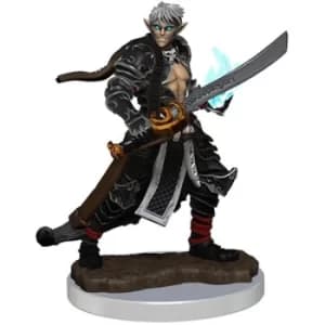 Pathfinder Painted Premium Male Elf Magus