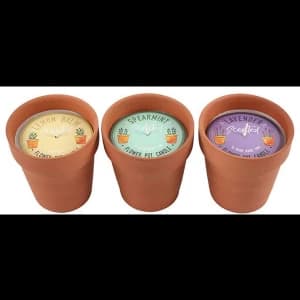 Fragranced Flower Pot Candle Pack Of 12