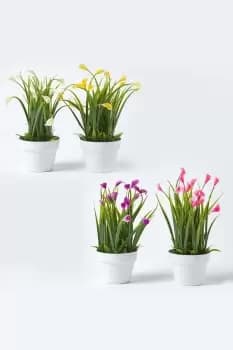 Set of 4 Multi-Coloured Artificial Calla Lilies in White Pots