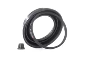 RIDEX Brake Caliper Repair Kit 405R0119 Caliper Repair Kit,Brake Caliper Rebuild Kit VW,AUDI,MERCEDES-BENZ,Golf IV Schragheck (1J1)