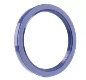 REINZ Crankshaft Seal HONDA,ROVER 81-53323-00 91214P7A004,91214PAAA01,91214PH1004 Crankshaft Gasket,Shaft Seal, crankshaft 91214PH1013,91214PLE003