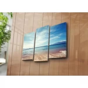 3NATPAT-6 Multicolor Decorative Canvas Painting (3 Pieces)