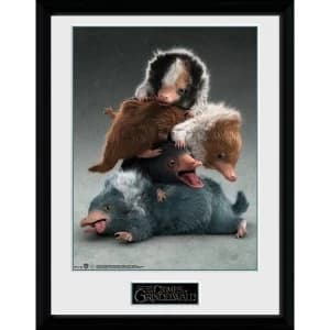 Fantastic Beasts 2 Nifflers Collector Print