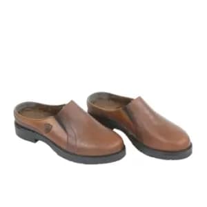 Moretta Womens/Ladies Donna Clogs (5 UK) (Brown)