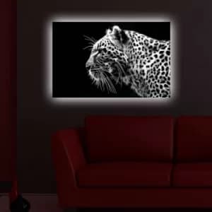 4570DACT-44 Multicolor Decorative LED Lighted Canvas Painting