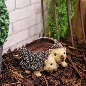 Naturecraft Collection - Pair of Hedgehogs Planter
