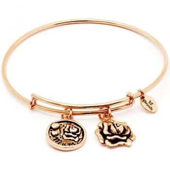 Ladies Chrysalis Rose Gold Plated Friend & Family Mum Expandable Bangle