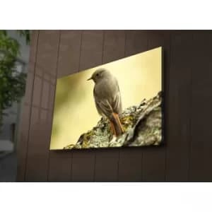 4570?ACT-65 Multicolor Decorative LED Lighted Canvas Painting