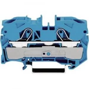 Continuity 10 mm Pull spring Configuration N Blue