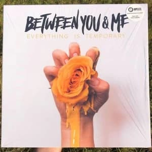Between You and Me - Everything Is Temporary Vinyl