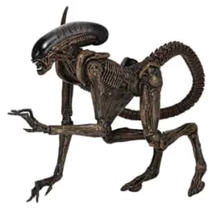 Ultimate Dog Alien (Alien 3) Neca Action Figure