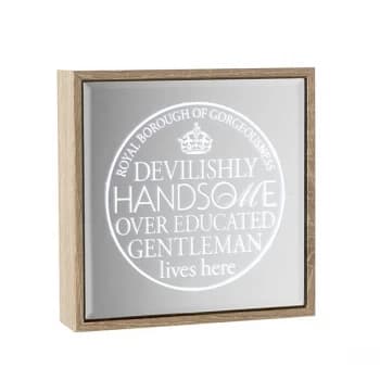 Mirror Light Up Frame Handsome Gentle By Heaven Sends