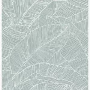 Fresco Over the Rainbow Sorbet Wallpaper