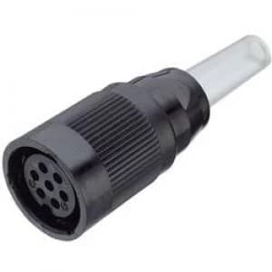 Binder 09 0060 00 05 Standard Circular Connector Nominal current details 10 A Number of pins 5